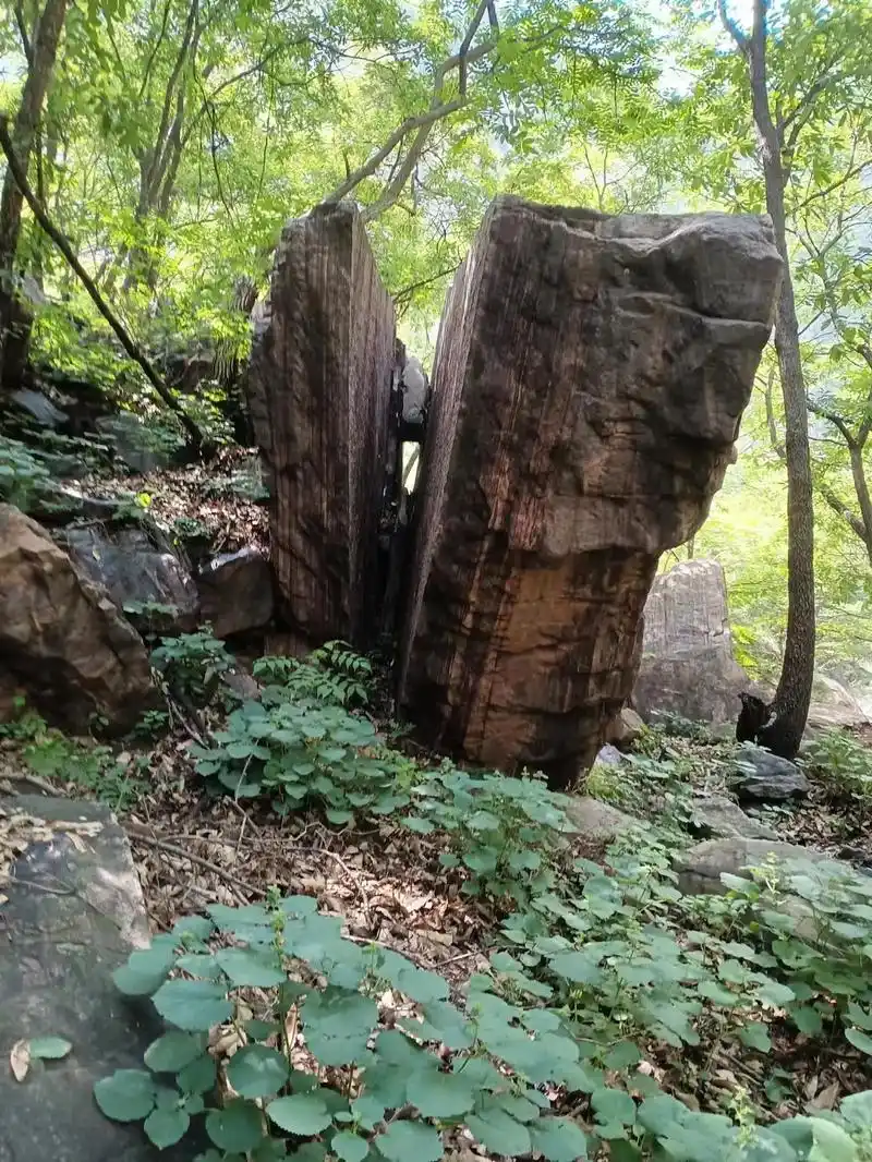 今天发现的一块石头    上边的图案像什么呢 - 抖音