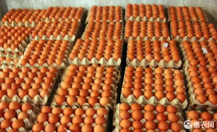 [粉壳蛋批发] 红皮鸡蛋价格144元/箱 - 惠农网