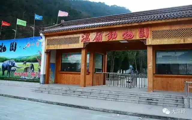 温岭动物园新出生三只东北虎虎仔,五一邀孩子们免费看,儿童门票免费送