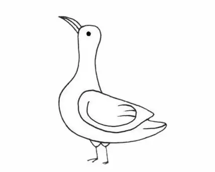 超简单的信天翁简笔画步骤画法图片大全