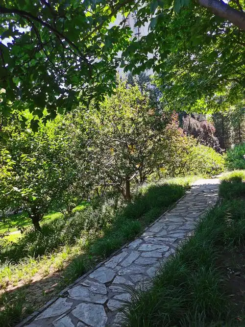 北京双秀公园的夏日美景(2020年6月14日)