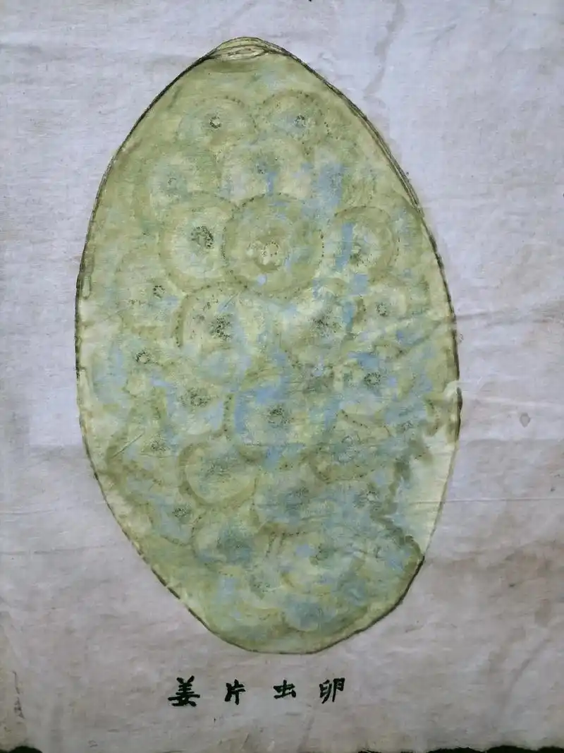 当红不让新青年 红不让新青年@当红不让新青年,9090,我 - 抖音