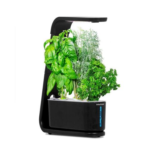 aerogarden|sprout with gourmet herbs seed pod kit - hydroponic