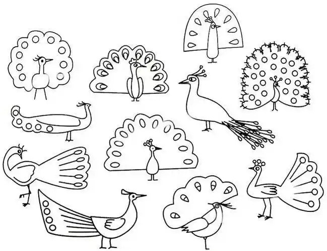 孔雀简笔画幼儿动物简笔画孔雀的画法步骤教孔雀开屏真漂亮关于孔雀的