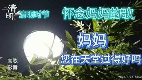 清明时节,怀念妈妈的歌,十人听了十哭