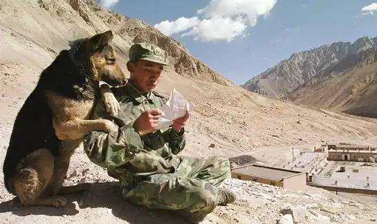 p>《国家相册第二季》是新华社推出的一档微纪录片栏目,由陈小波任