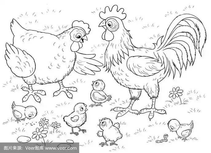 可爱的母鸡,公鸡和他们的小鸡.对儿童插图.着色页面