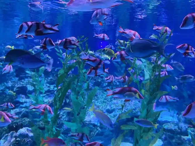 成都海昌极地海洋公园