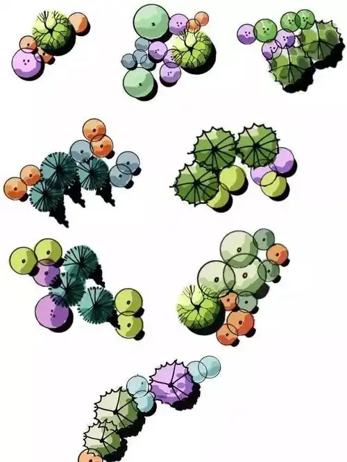 手绘平面植物组合