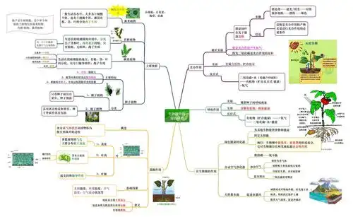 初中七年级 地理思维导图