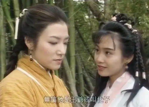 94版射雕英雄传关宝慧穆念慈感觉总是在被人欺负