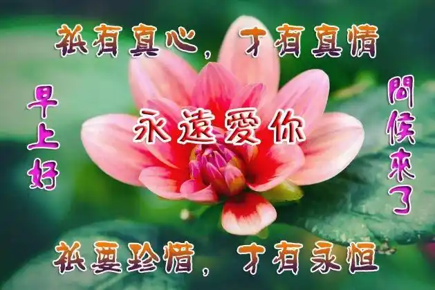新的一天早上好唯美祝福动态图片带字说说心情