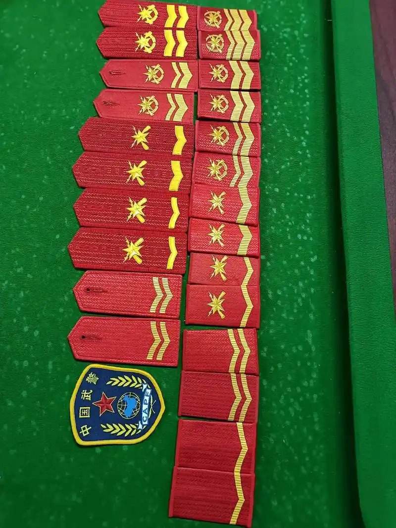 这些又是谁的青春和汗水,退役肩章合法收藏 - 抖音