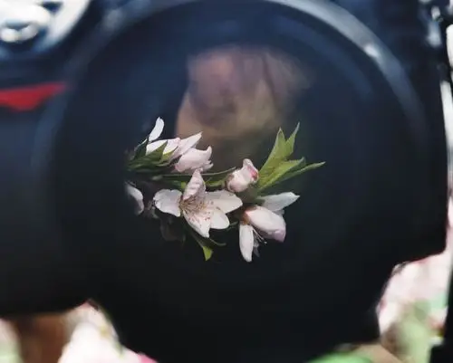 镜中花-行摄风光-光影中国网-36.01ny.cn - powered by discuz!