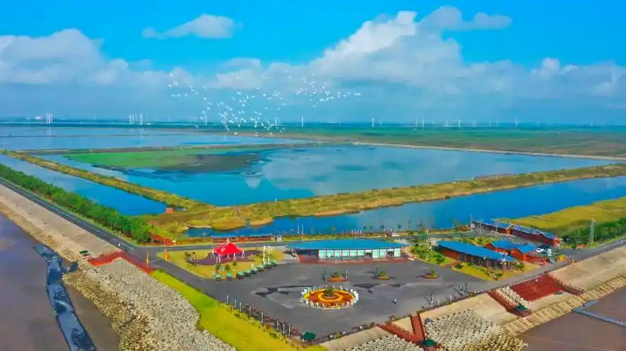 江苏射阳向海图强蓝色引擎动能澎湃