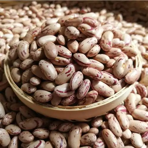 奶花芸豆2021新花芸豆5斤东北奶白花芸豆农家肥花腰豆大饭豆