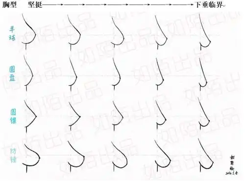 大胸如何防止下垂?