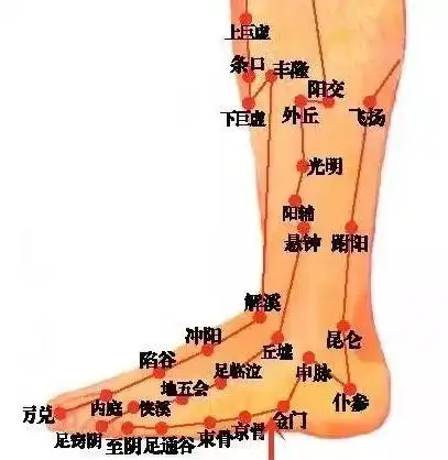 有被胆经包裹起来的,绕耳一周的三焦经,脚外侧边缘和脚踝附近有膀胱经