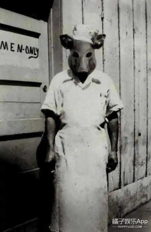 深夜毒物胆大的进来看看这些吓死人的照片