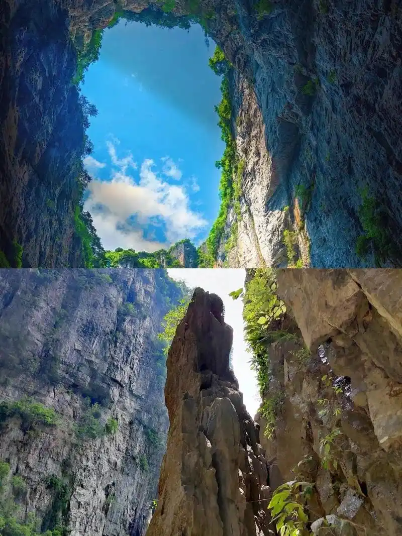 武隆仙女山 天坑三桥纯玩一日游 来重庆观不一样的自然风景 仙女山国