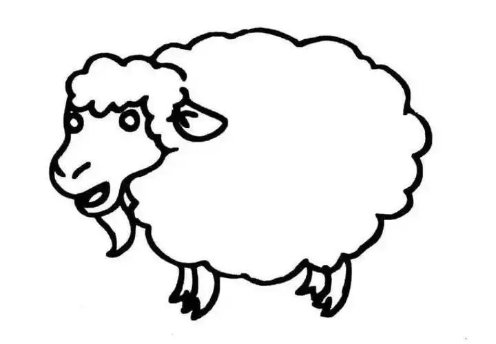 简笔画 动物简笔画 温顺的小绵羊简笔画图片_小绵羊儿童绘画作品图集