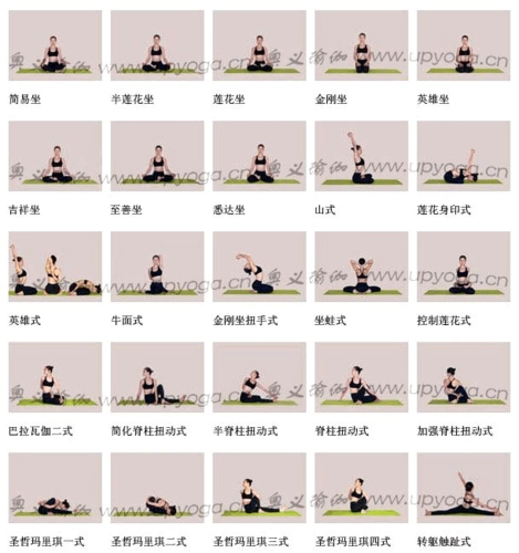 瑜伽体位大全图片