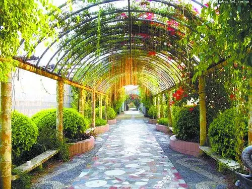 美丽的八桂田园.(市旅发委供图)