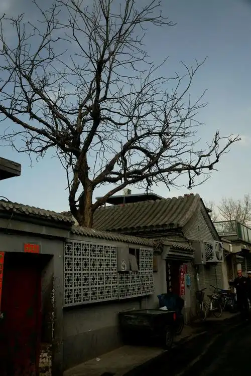 北京老胡同随拍(1)