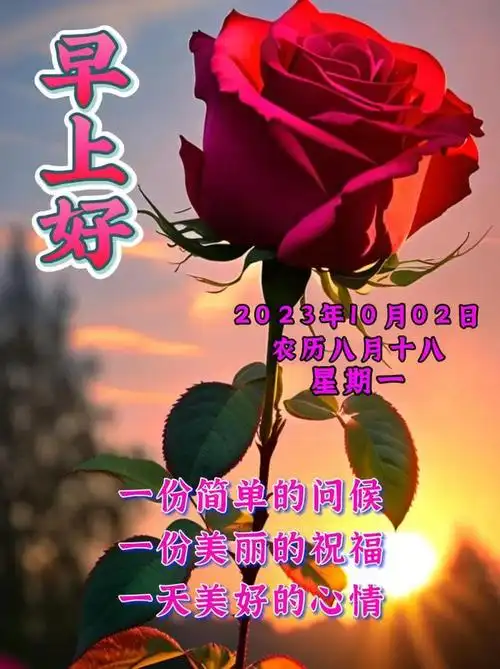 早安祝福问候语,愿君周一快乐|清晨|思念|好运|早上好_网易订阅