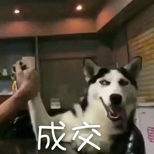 成交(二哈哈士奇击掌)_士奇_击掌_哈哈_成交表情