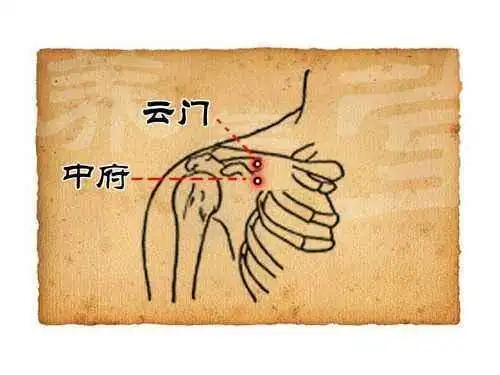 云门穴:肺气出入的门户,止咳平喘,清肺除烦!