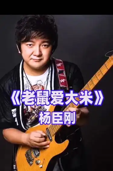 老鼠爱大米杨臣刚