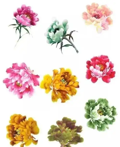 牡丹花头和花叶的三十种画法,学画牡丹不用愁!
