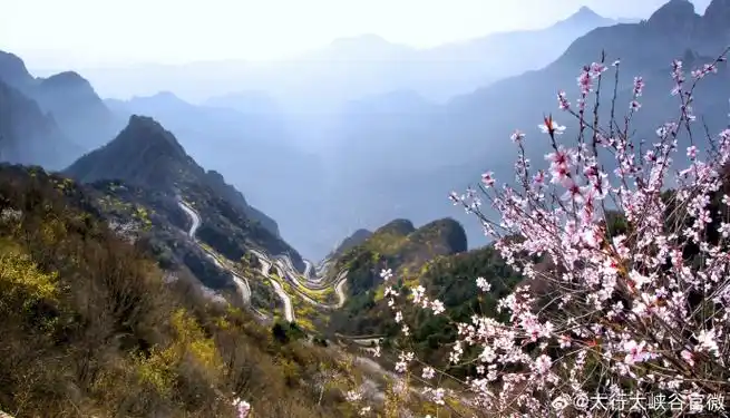 #太行春暖上春山#