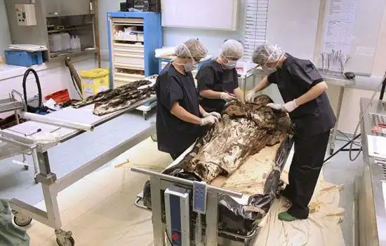 法国发现17世纪贵妇遗骸死者怀揣丈夫心脏入葬图