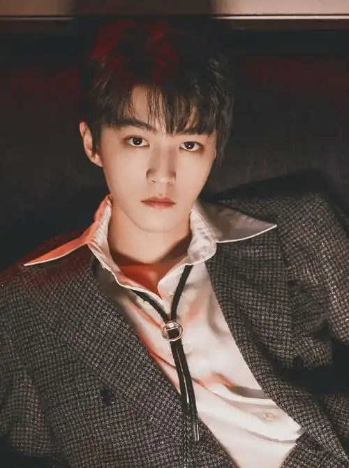 王俊凯焕蓝梦想公益基金2021年度收支明细##王俊凯焕蓝梦想公益基金