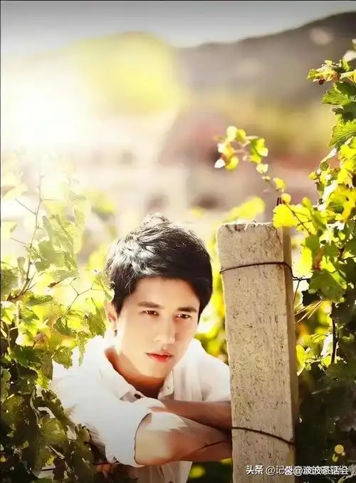 带你们来看看东北籍男演员们的高颜值,一个比一个帅!