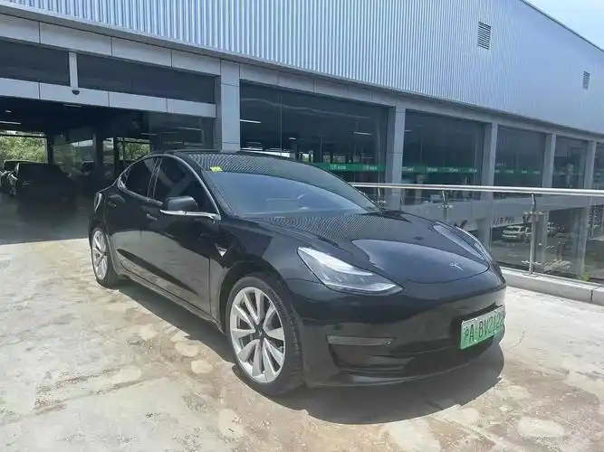 特斯拉 model 3(进口) 2019款 model 3  - 抖音