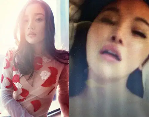 李小璐不雅图片视频曝光 李小璐21秒不雅视频疑为嫩模林娜冰