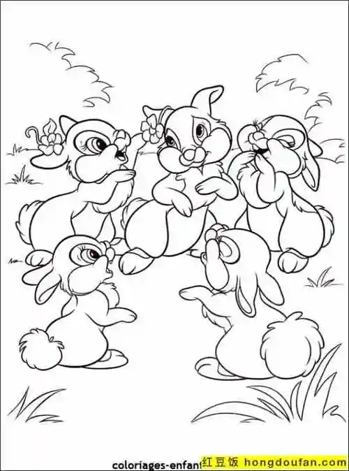 12张孩子们最喜欢的毛茸茸的兔子卡通涂色图片-红豆饭小学生简笔画