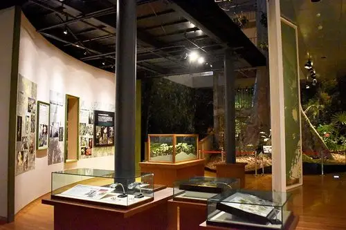 京都大学综合博物馆 - 每日环球展览 - imuseum