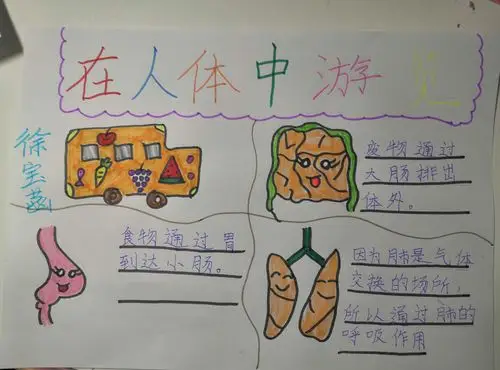 2.18班 神奇校车(四)——在人体中游览