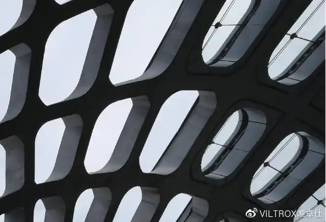 原片右上角局部放大效果