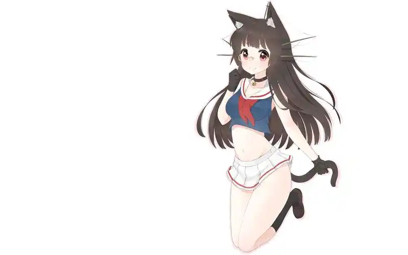 软萌可爱二次元猫耳美女桌面壁纸