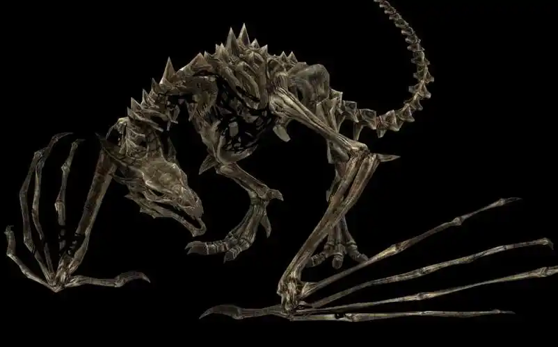 上古卷轴5骷髅龙死亡才是你的归宿