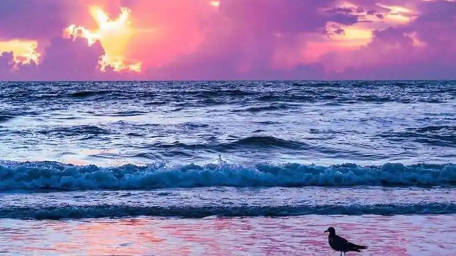 夏日里的唯美海滩壁纸图片