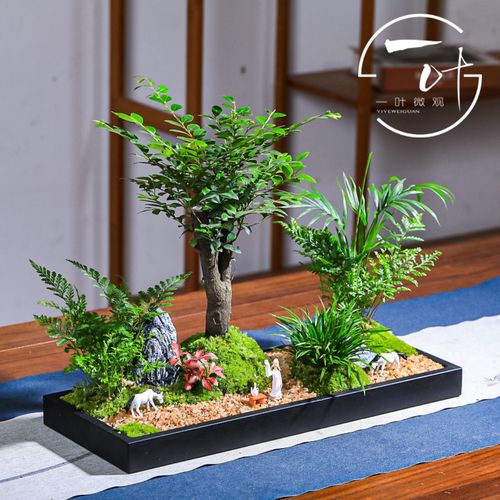 小叶紫檀黑骨茶j老桩禅意微景观室内办公室花卉绿植物盆景盆栽