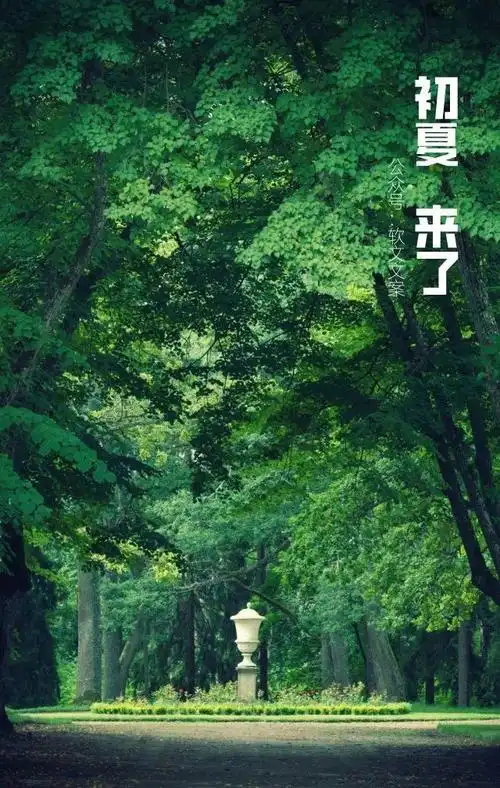 关于夏天的文案好治愈