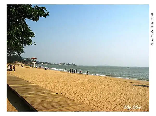 厦门大学白城海滩(组图)