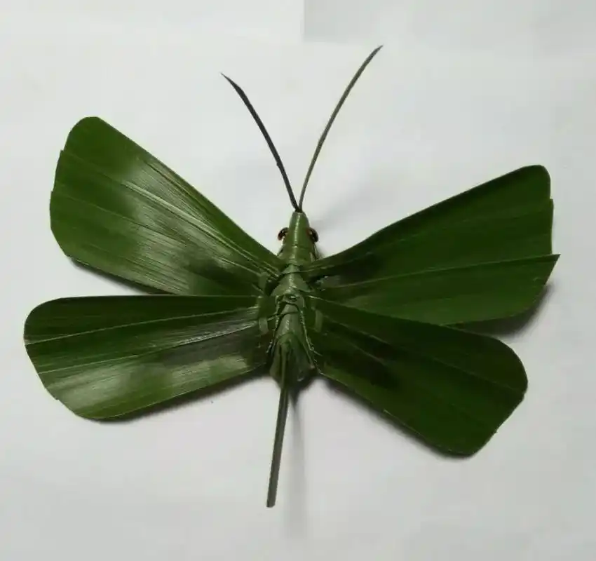 棕编,棕榈树叶上的艺术